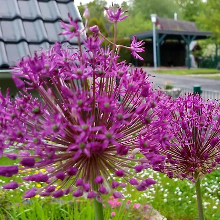 Haus 187 Freilingen *