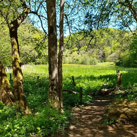 Haus 187 Freilingen * Blankenheim (North Rhine-Westphalia)