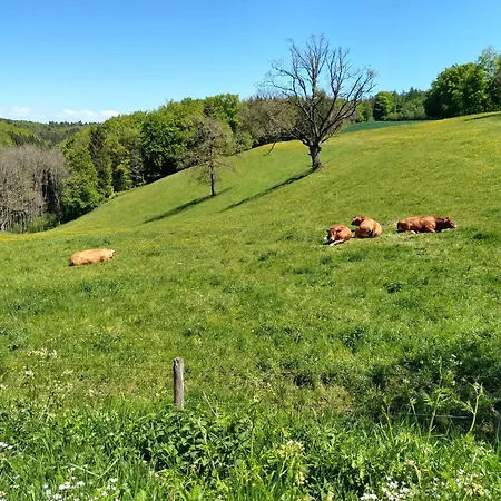 Haus 187 Freilingen *