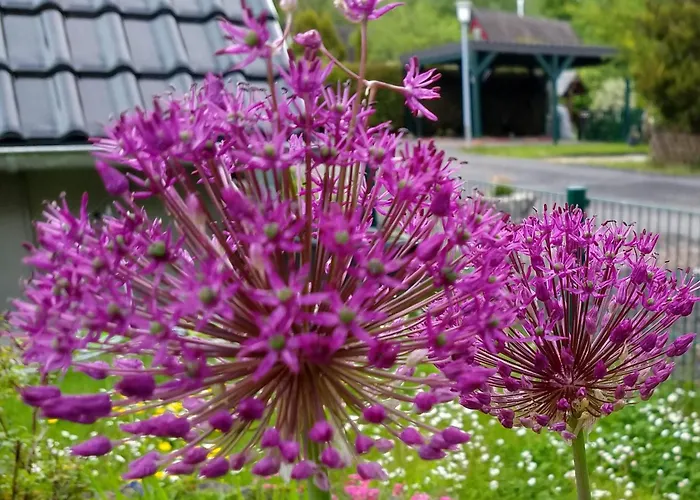 Haus 187 Freilingen *