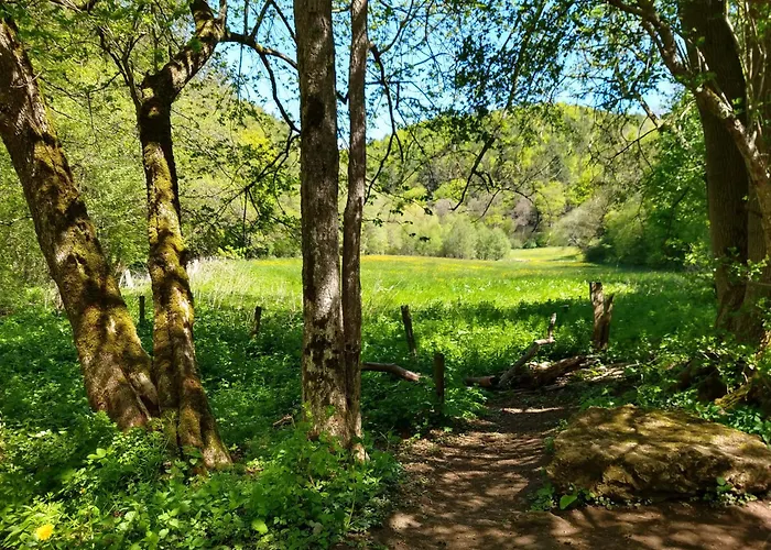Haus 187 Freilingen * Blankenheim (North Rhine-Westphalia)