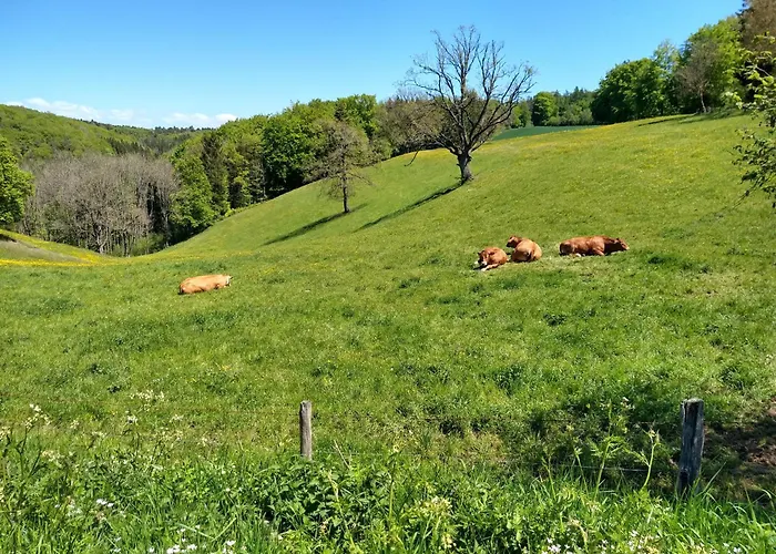 Haus 187 Freilingen *